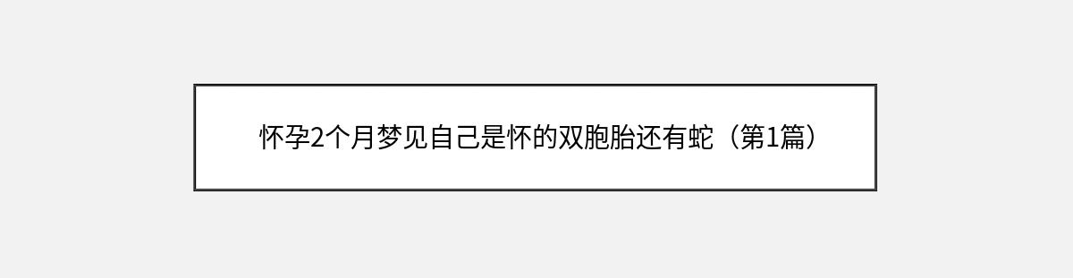 怀孕2个月梦见自己是怀的双胞胎还有蛇（第1篇）