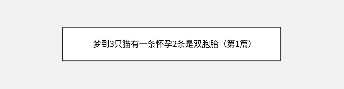 梦到3只猫有一条怀孕2条是双胞胎（第1篇）