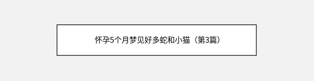 怀孕5个月梦见好多蛇和小猫（第3篇）