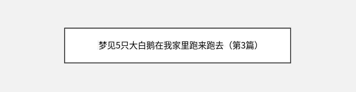 梦见5只大白鹅在我家里跑来跑去（第3篇）