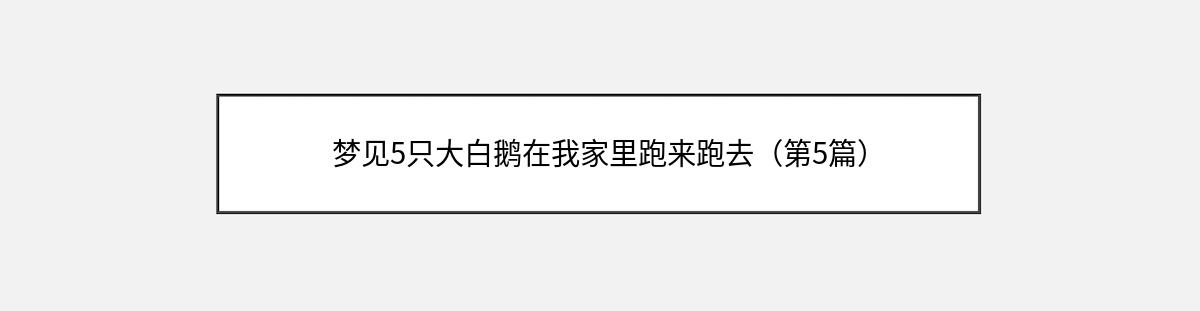 梦见5只大白鹅在我家里跑来跑去（第5篇）