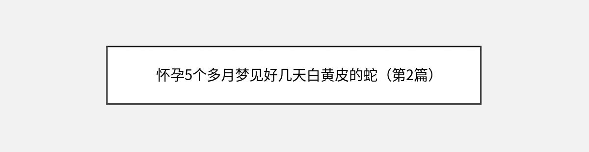 怀孕5个多月梦见好几天白黄皮的蛇（第2篇）