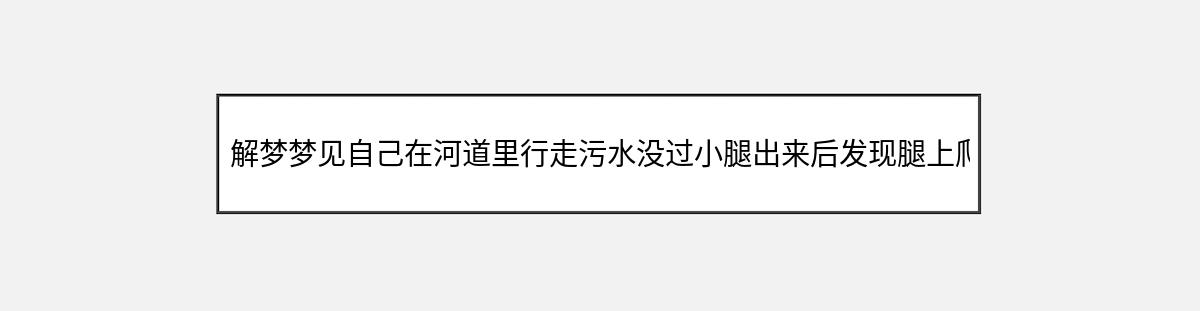 解梦梦见自己在河道里行走污水没过小腿出来后发现腿上爬了很多白色寄生虫（第1篇）