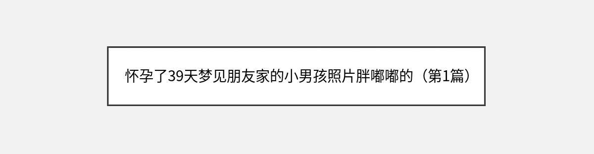 怀孕了39天梦见朋友家的小男孩照片胖嘟嘟的（第1篇）