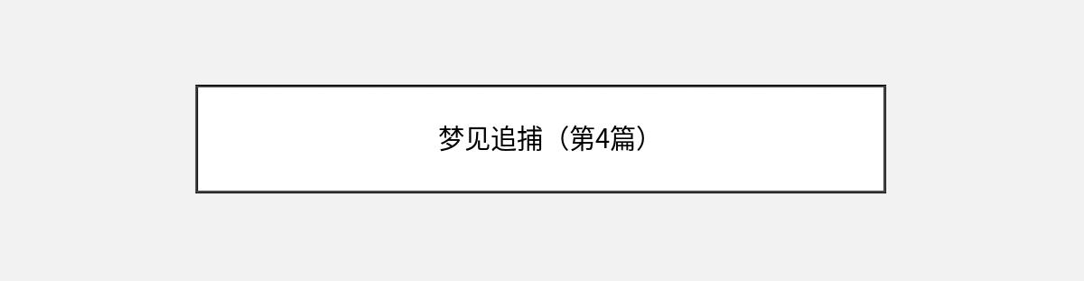 梦见追捕（第4篇）