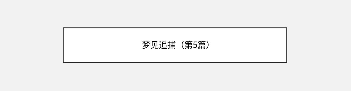 梦见追捕（第5篇）