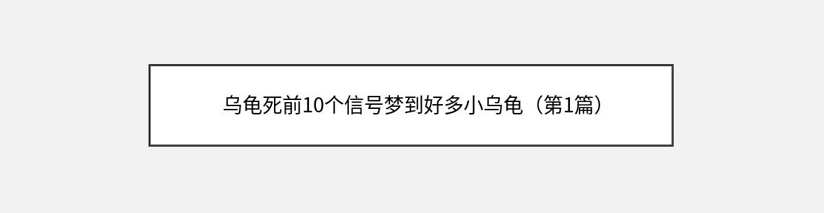 乌龟死前10个信号梦到好多小乌龟（第1篇）