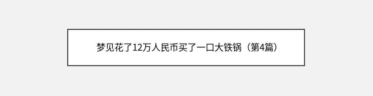 梦见花了12万人民币买了一口大铁锅（第4篇）