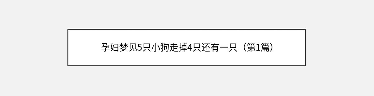 孕妇梦见5只小狗走掉4只还有一只（第1篇）