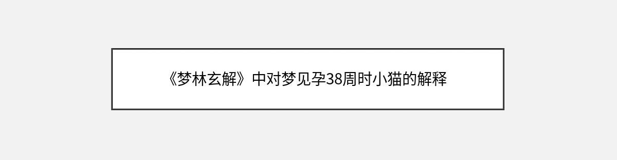 《梦林玄解》中对梦见孕38周时小猫的解释