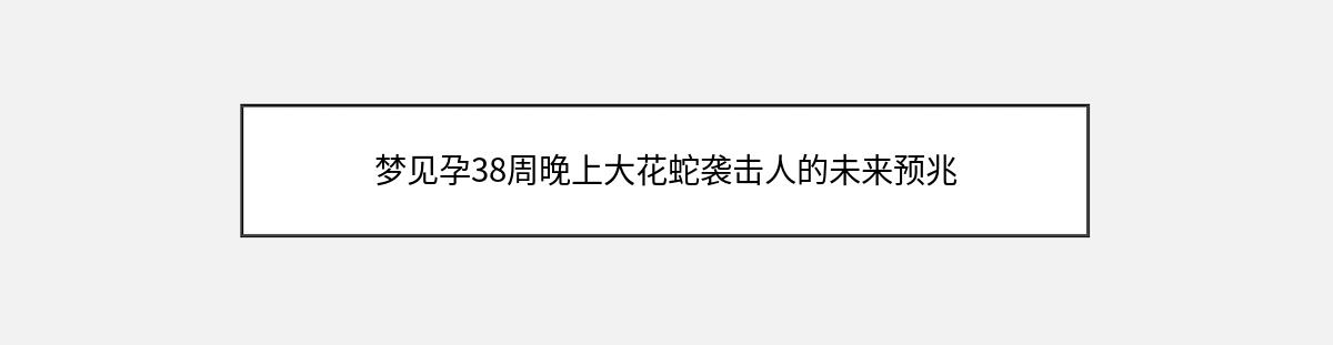 梦见孕38周晚上大花蛇袭击人的未来预兆