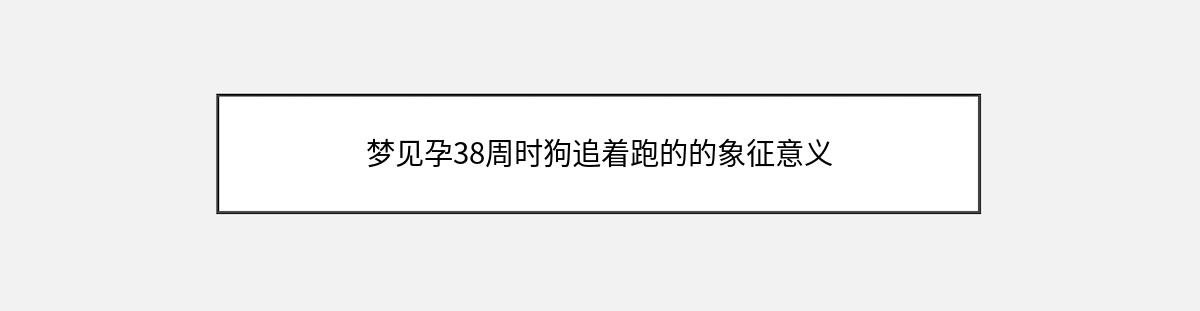 梦见孕38周时狗追着跑的的象征意义