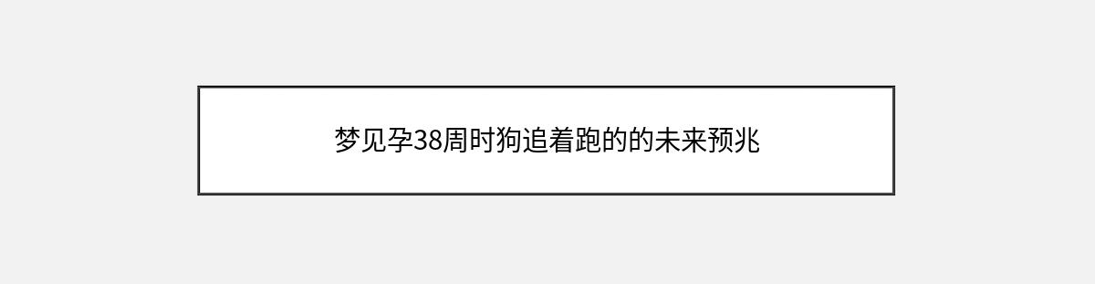 梦见孕38周时狗追着跑的的未来预兆