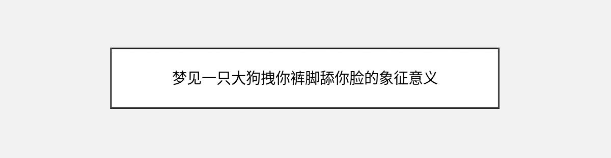 梦见一只大狗拽你裤脚舔你脸的象征意义