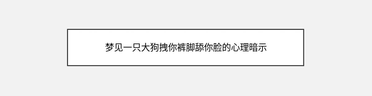 梦见一只大狗拽你裤脚舔你脸的心理暗示