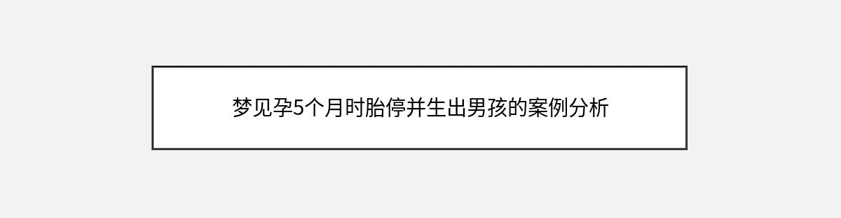 梦见孕5个月时胎停并生出男孩的案例分析