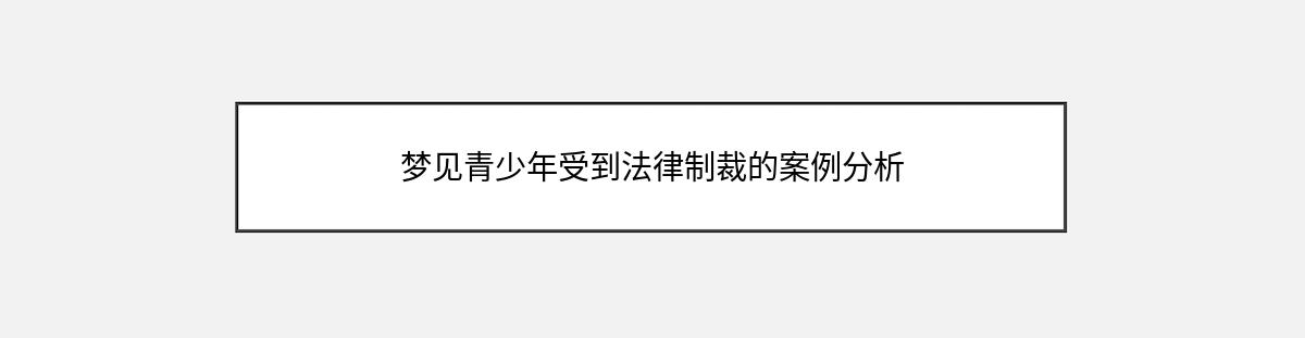 梦见青少年受到法律制裁的案例分析