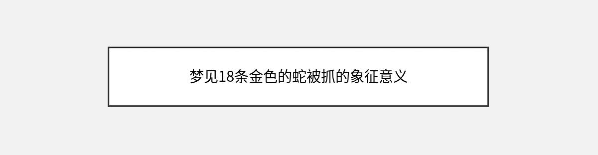 梦见18条金色的蛇被抓的象征意义