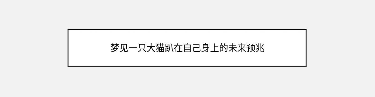 梦见一只大猫趴在自己身上的未来预兆