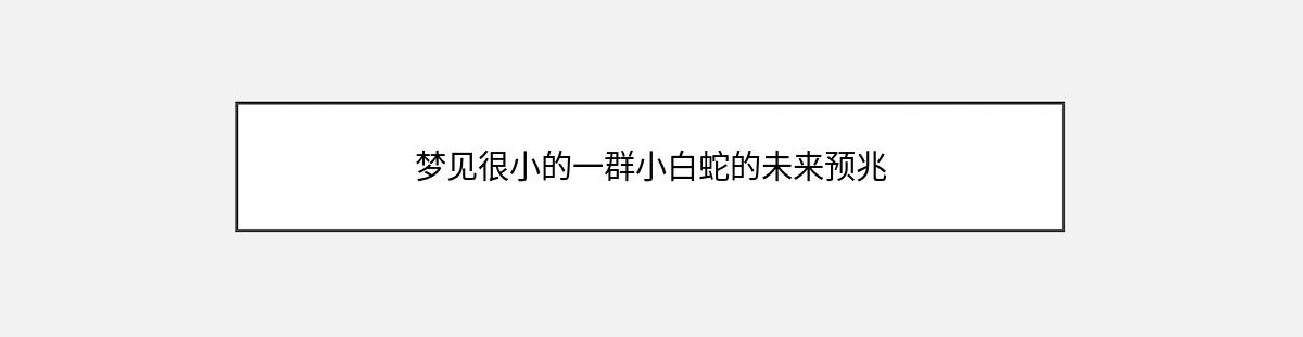 梦见很小的一群小白蛇的未来预兆