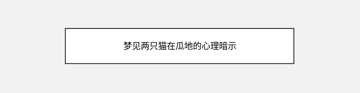 梦见两只猫在瓜地的心理暗示