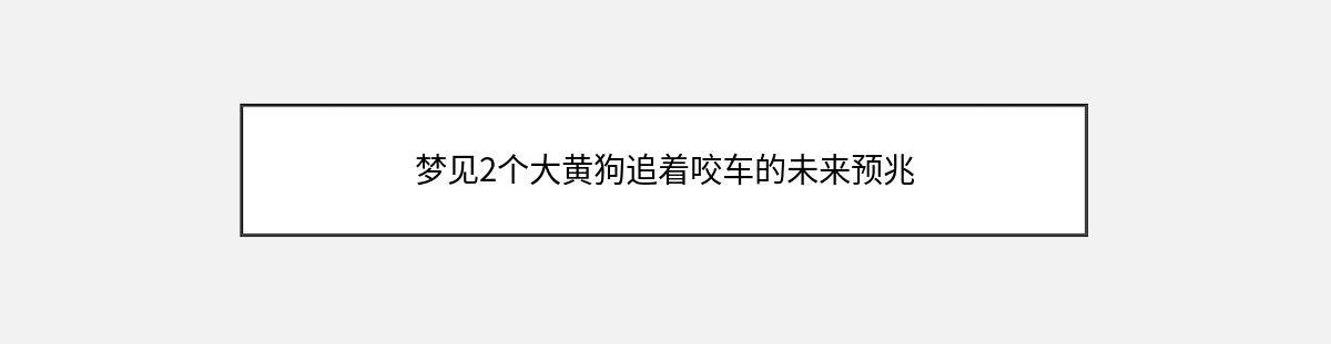 梦见2个大黄狗追着咬车的未来预兆