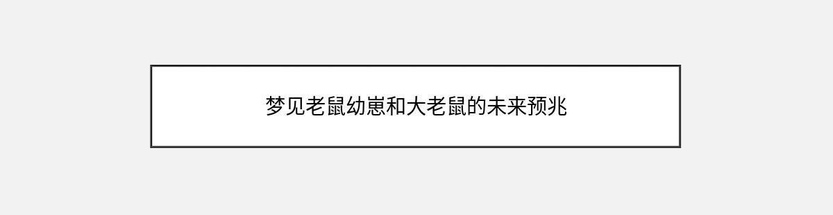 梦见老鼠幼崽和大老鼠的未来预兆