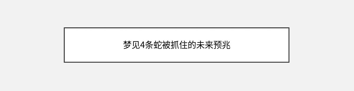 梦见4条蛇被抓住的未来预兆