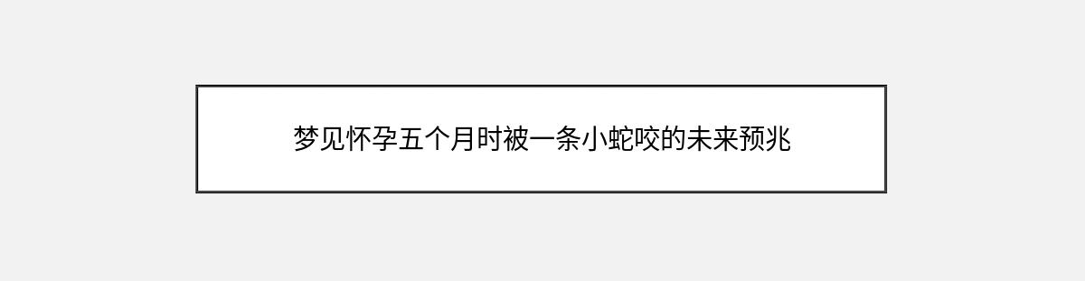 梦见怀孕五个月时被一条小蛇咬的未来预兆