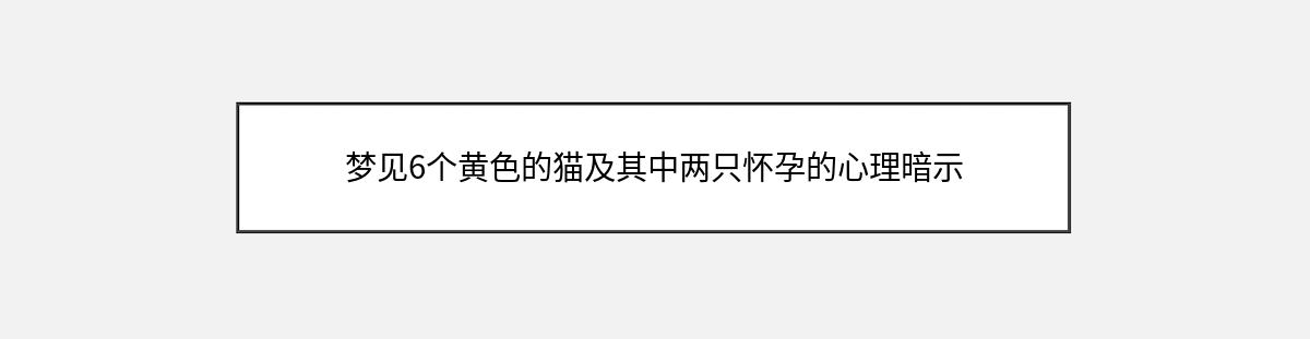 梦见6个黄色的猫及其中两只怀孕的心理暗示