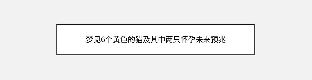 梦见6个黄色的猫及其中两只怀孕未来预兆