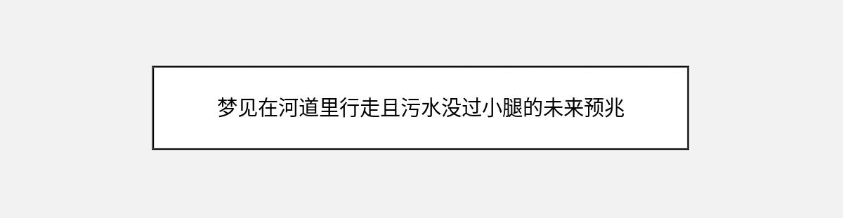 梦见在河道里行走且污水没过小腿的未来预兆