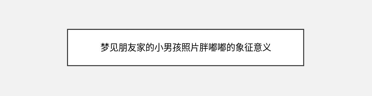 梦见朋友家的小男孩照片胖嘟嘟的象征意义