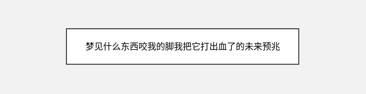 梦见什么东西咬我的脚我把它打出血了的未来预兆