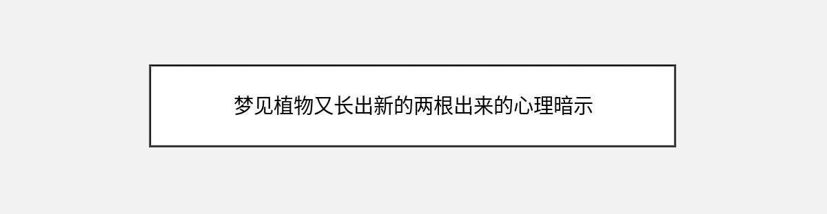 梦见植物又长出新的两根出来的心理暗示