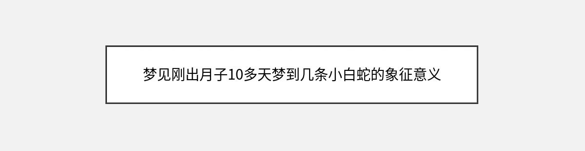 梦见刚出月子10多天梦到几条小白蛇的象征意义