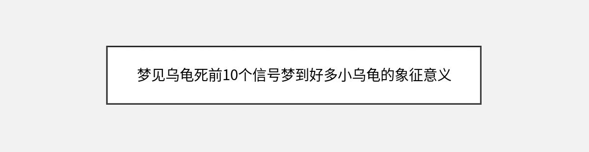 梦见乌龟死前10个信号梦到好多小乌龟的象征意义