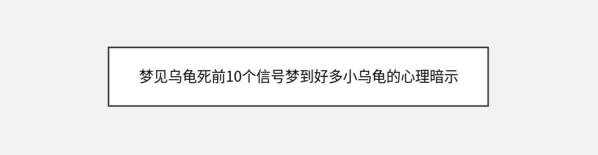 梦见乌龟死前10个信号梦到好多小乌龟的心理暗示