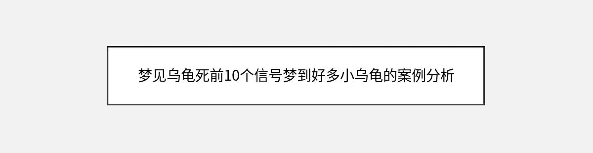 梦见乌龟死前10个信号梦到好多小乌龟的案例分析