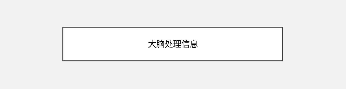 大脑处理信息