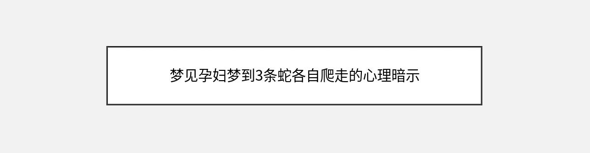 梦见孕妇梦到3条蛇各自爬走的心理暗示