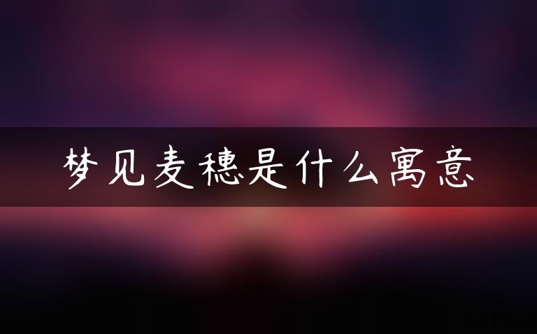 梦见麦穗是什么寓意