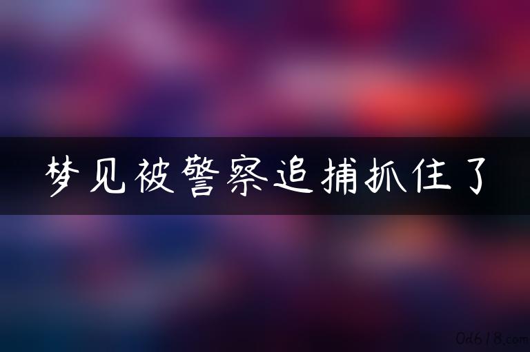 梦见被警察追捕抓住了