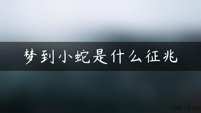 梦到小蛇是什么征兆