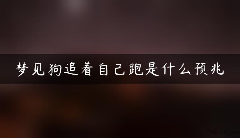 梦见狗追着自己跑是什么预兆