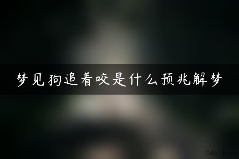 梦见狗追着咬是什么预兆解梦