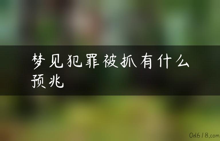 梦见犯罪被抓有什么预兆