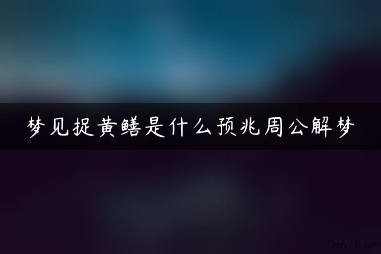 梦见捉黄鳝是什么预兆周公解梦