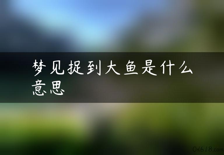 梦见捉到大鱼是什么意思