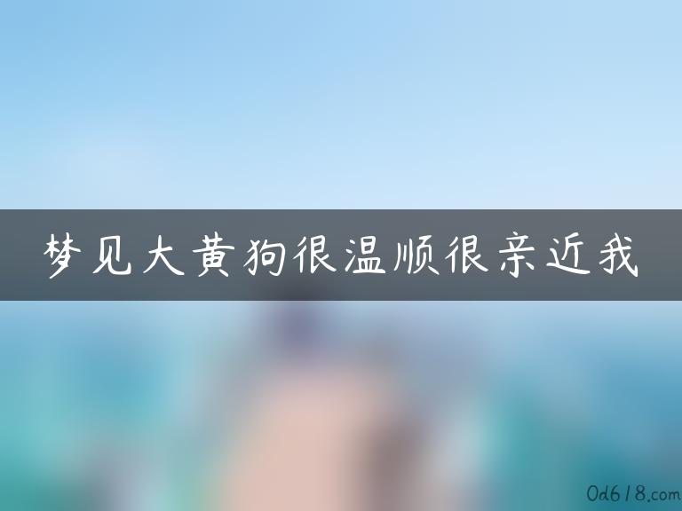 梦见大黄狗很温顺很亲近我